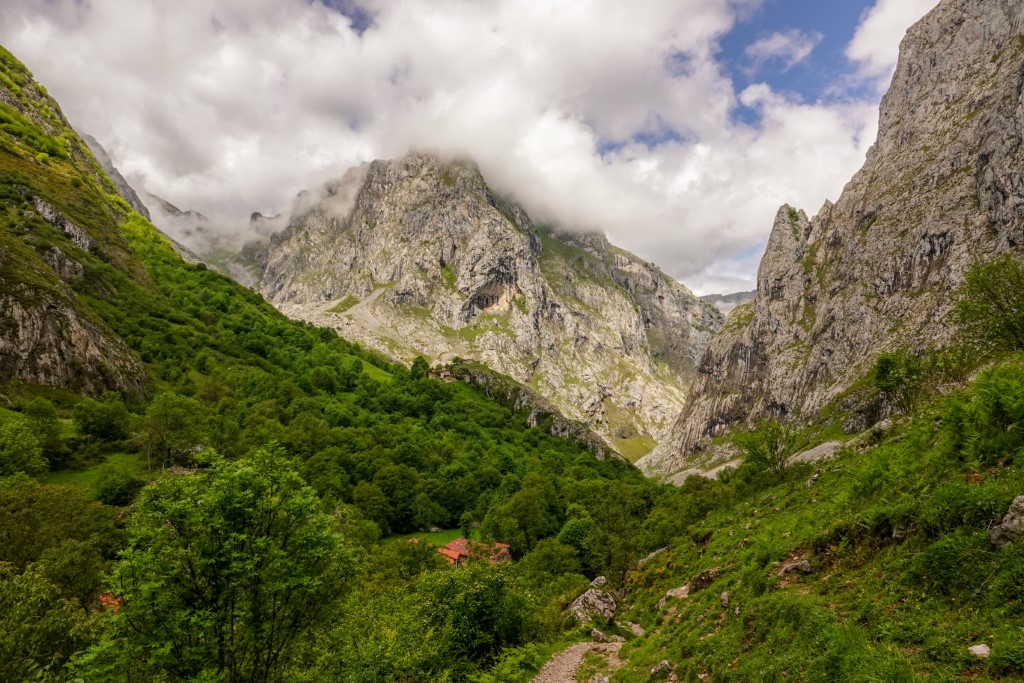 Picos de Europa